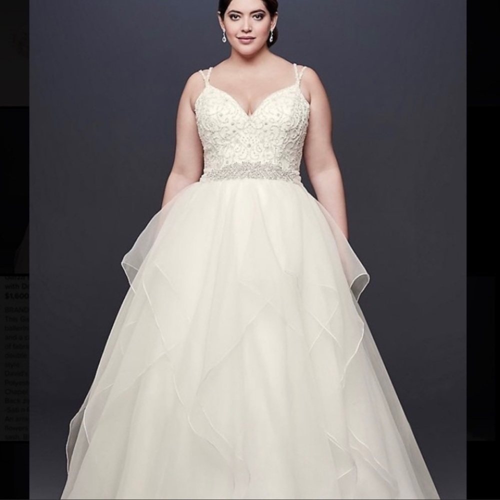 David’s Bridal Garza Wedding Dress - Picture 2 of 15